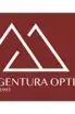 Agentura Optima